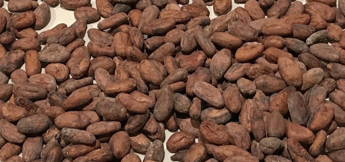 cocoa beans